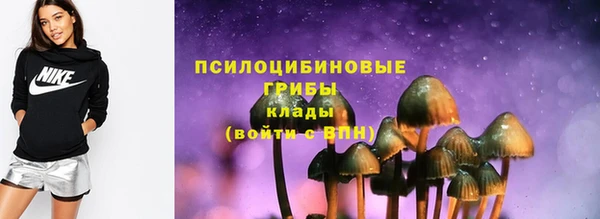 прущий лед Аркадак