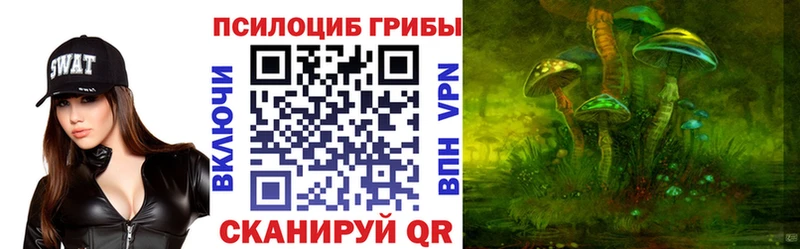 где продают наркотики  Усть-Джегута  Псилоцибиновые грибы Cubensis 