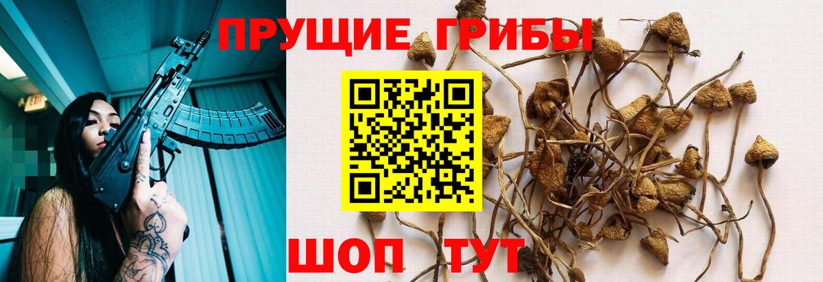 Усть-Джегута  Галлюциногенные грибы ЛСД  Вход с VPN 