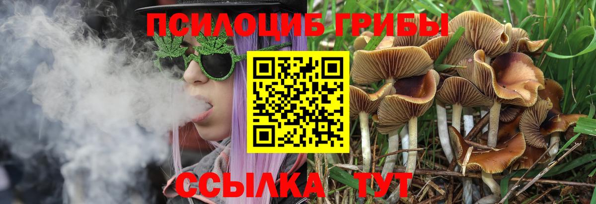 Псилоцибиновые грибы прущие грибы Усть-Джегута